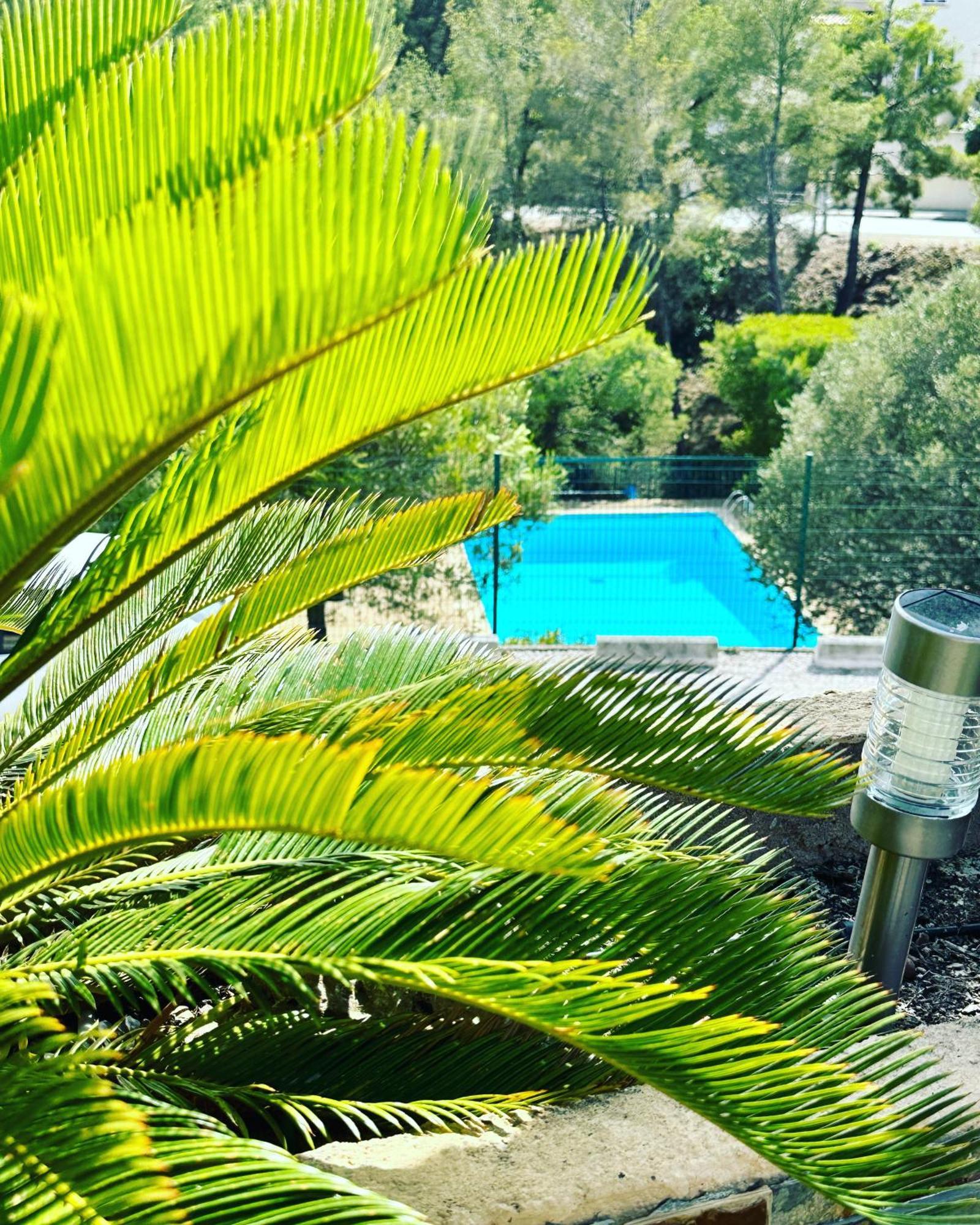 Vuemer Bandol - Grande Terrasse De 45M2 Vue Mer Piscine Parking Экстерьер фото